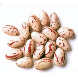 Haricots Coco Rose