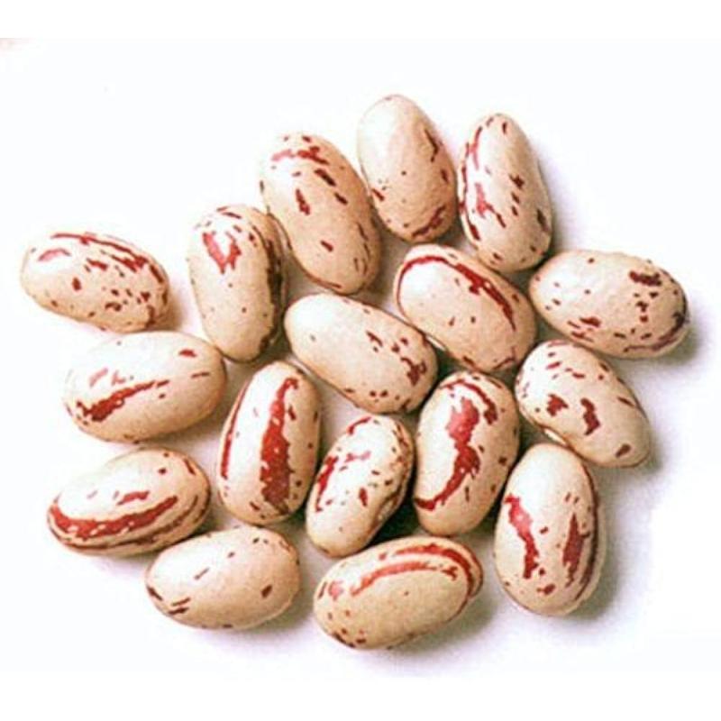 Haricots Coco Rose
