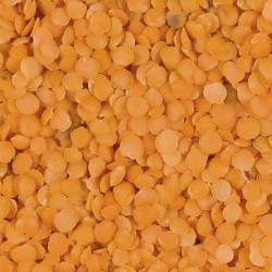 Lentilles corail 1 kg