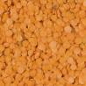Lentilles corail 1 kg
