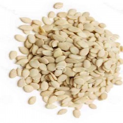 Pistache Grain 100g